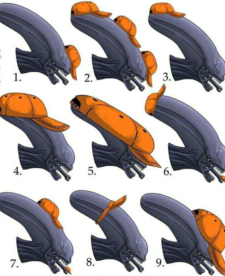 a drawing of a dolphin s head